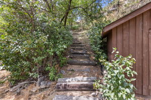 Lots of Trails Around the Property