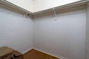  Photo 50