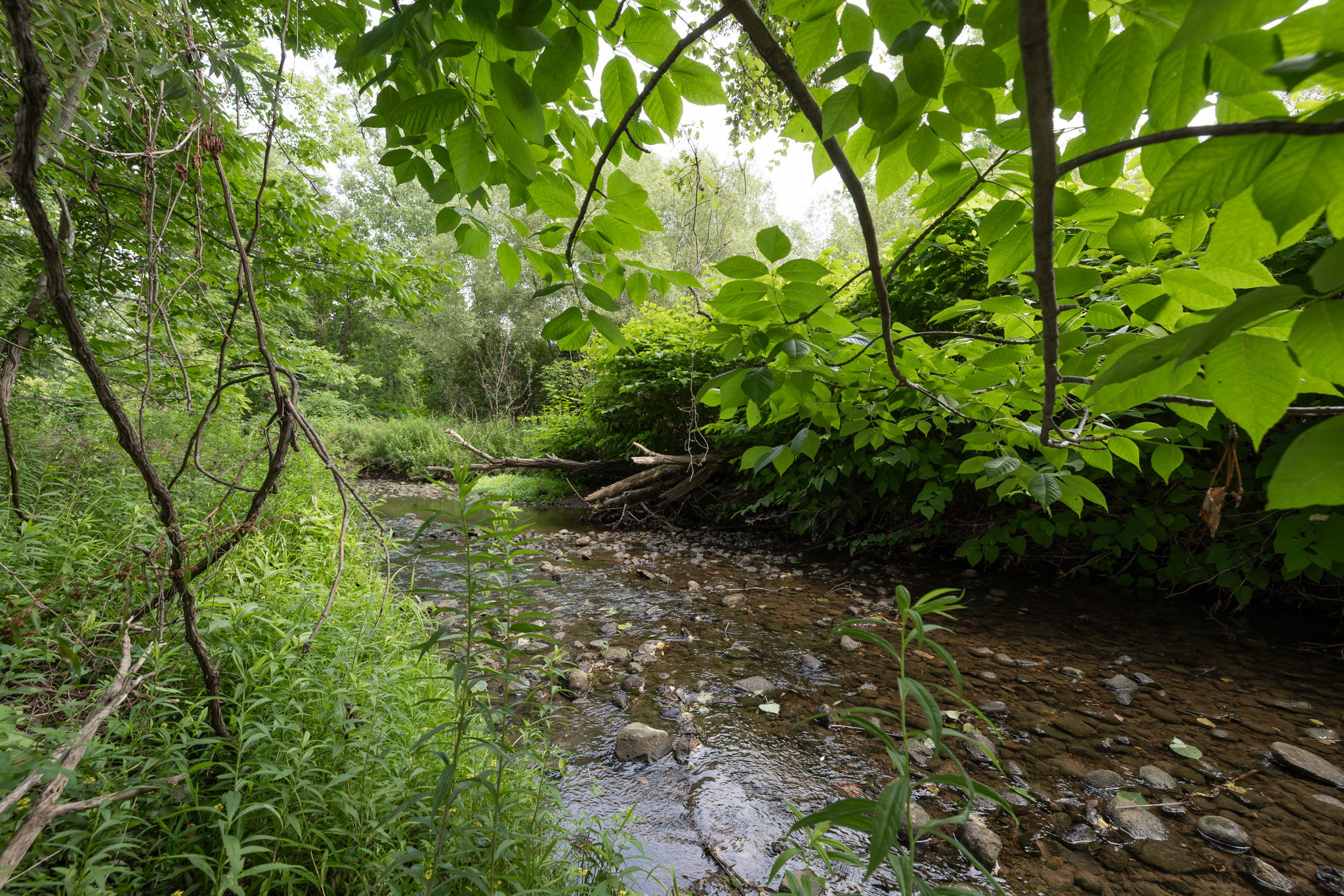  Photo 44