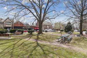 Lovely Watchung shopping plaza