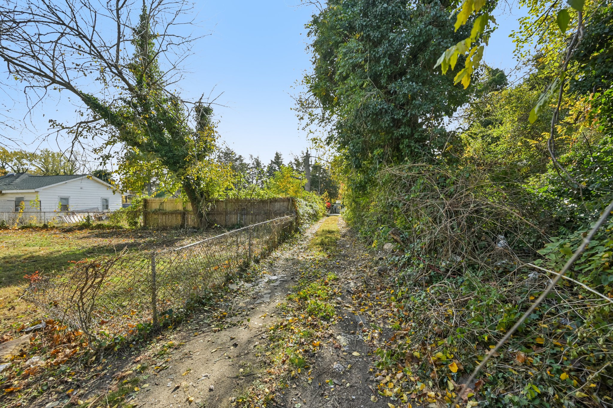 South Ave-S1211-049.jpg