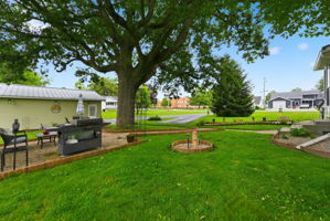  Photo 47