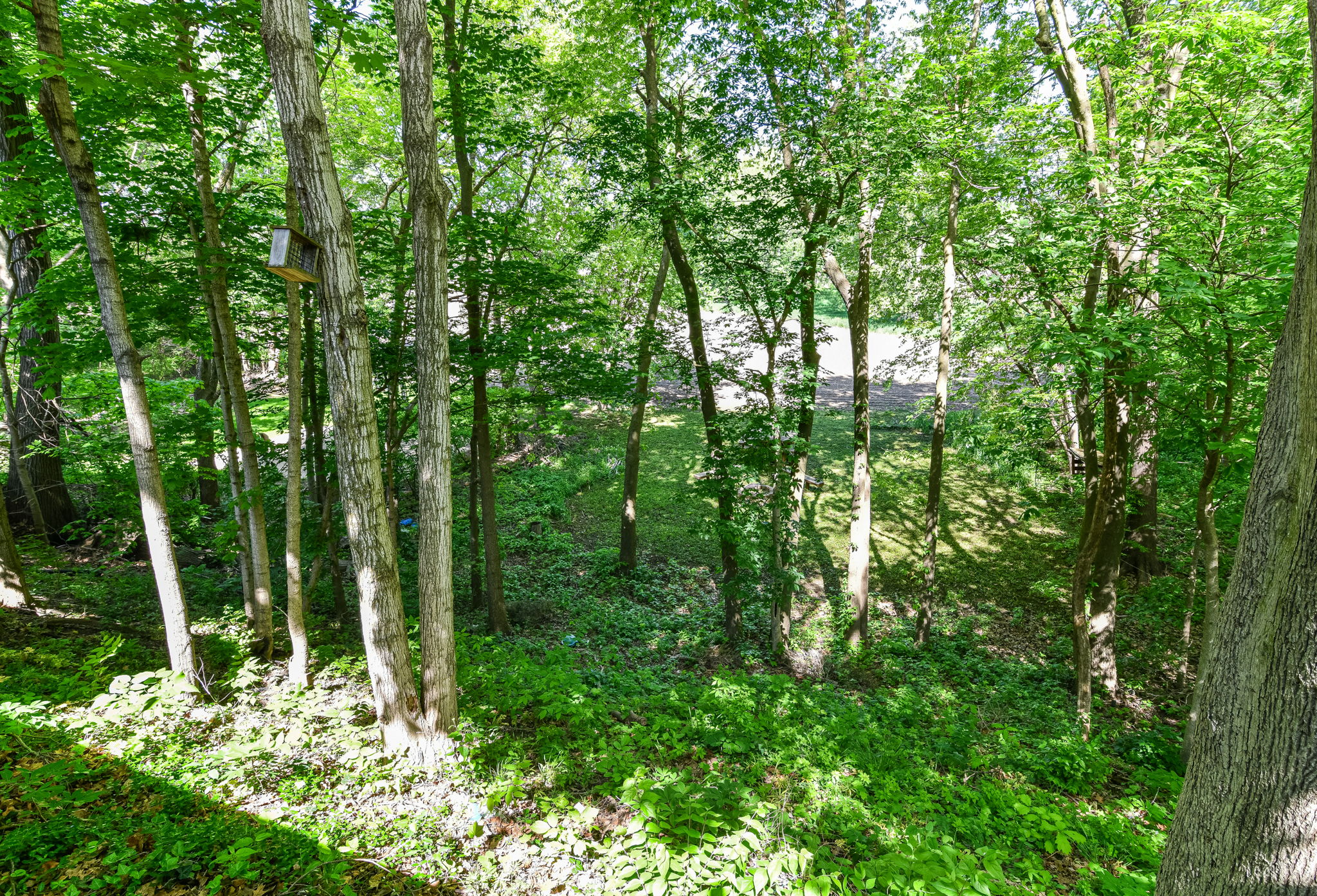  Photo 41