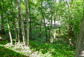 Photo 40