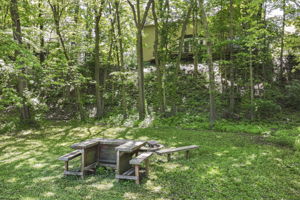  Photo 45