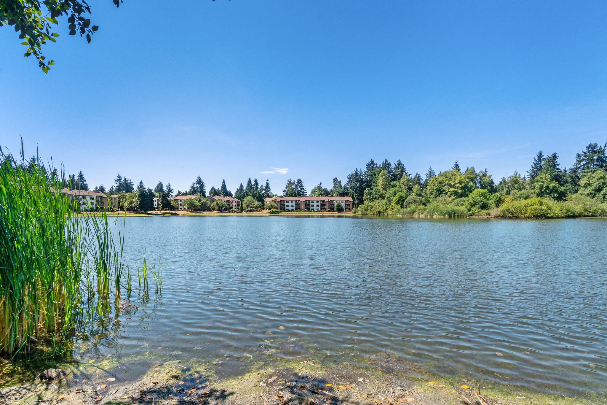 31003 14th Ave S, Federal Way, WA 98003, USA Photo 27