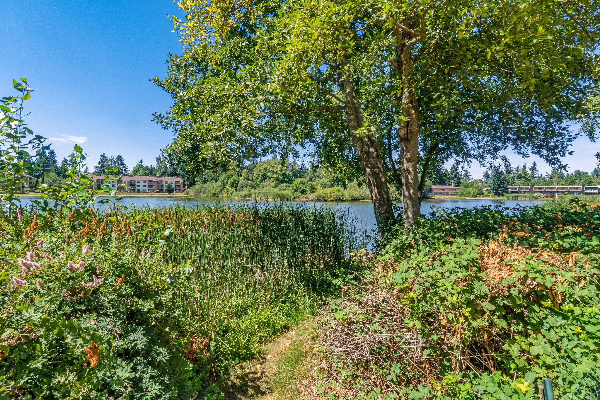 31003 14th Ave S, Federal Way, WA 98003, USA Photo 25