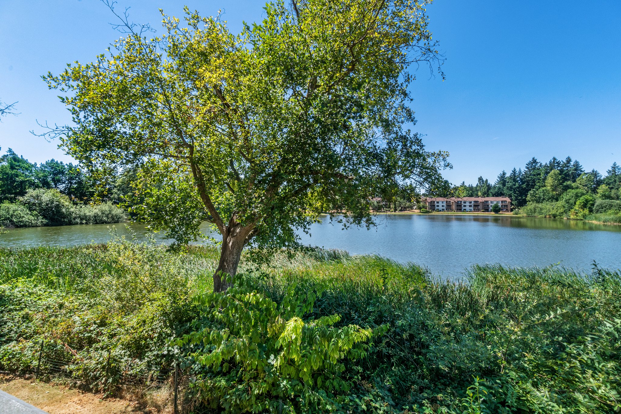 31003 14th Ave S, Federal Way, WA 98003, USA Photo 23