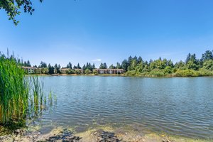 31003 14th Ave S, Federal Way, WA 98003, USA Photo 26