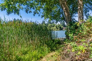 31003 14th Ave S, Federal Way, WA 98003, USA Photo 25