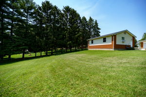  Photo 45