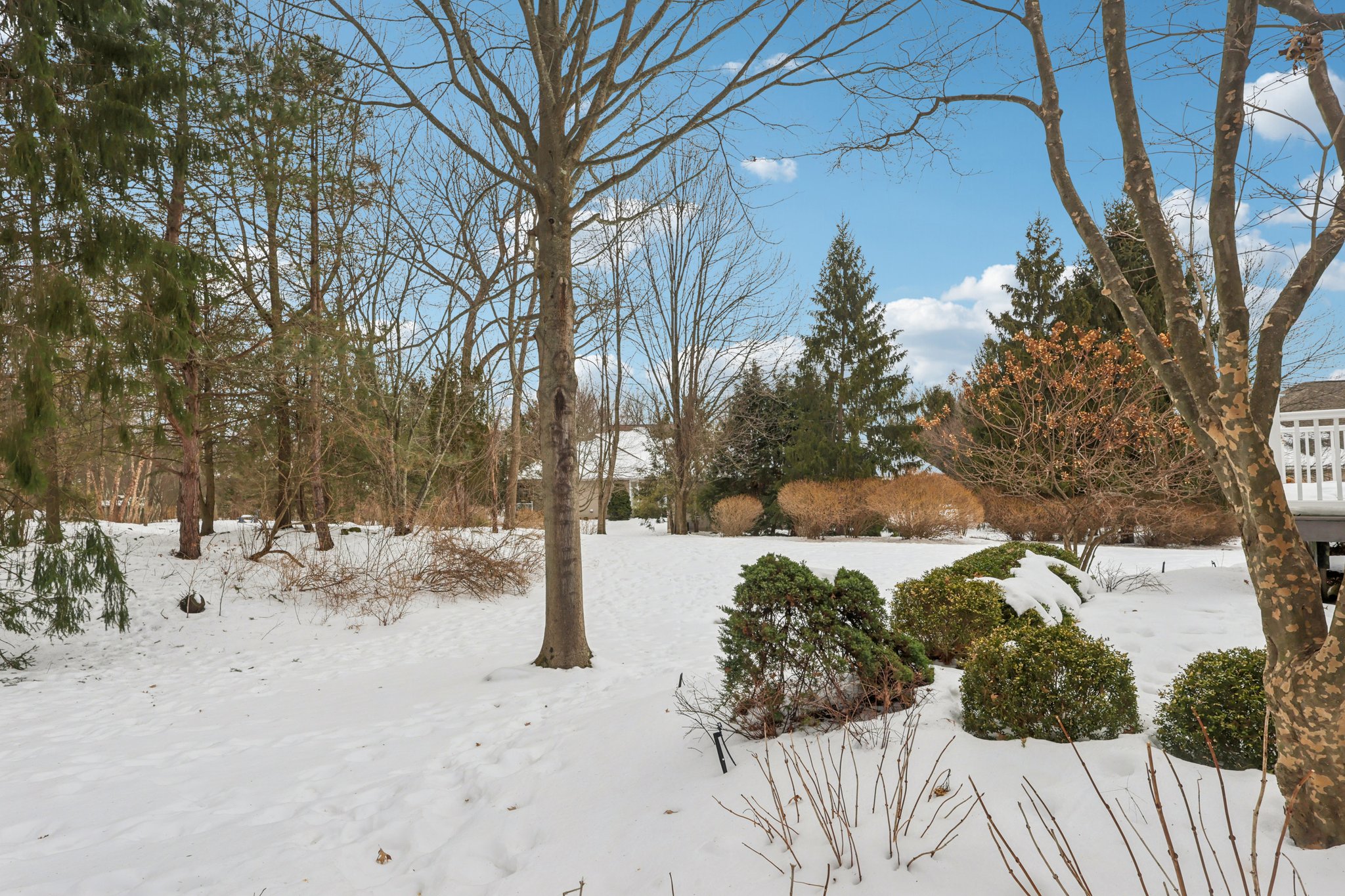 Walden Dr-S1202-050.jpg