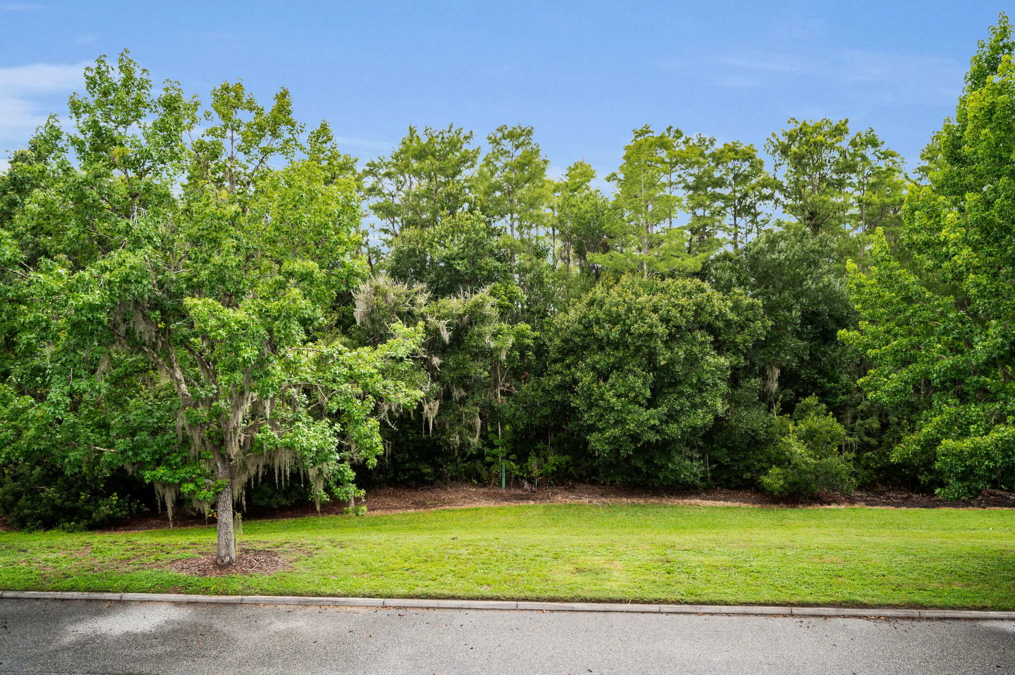 Yard2 View