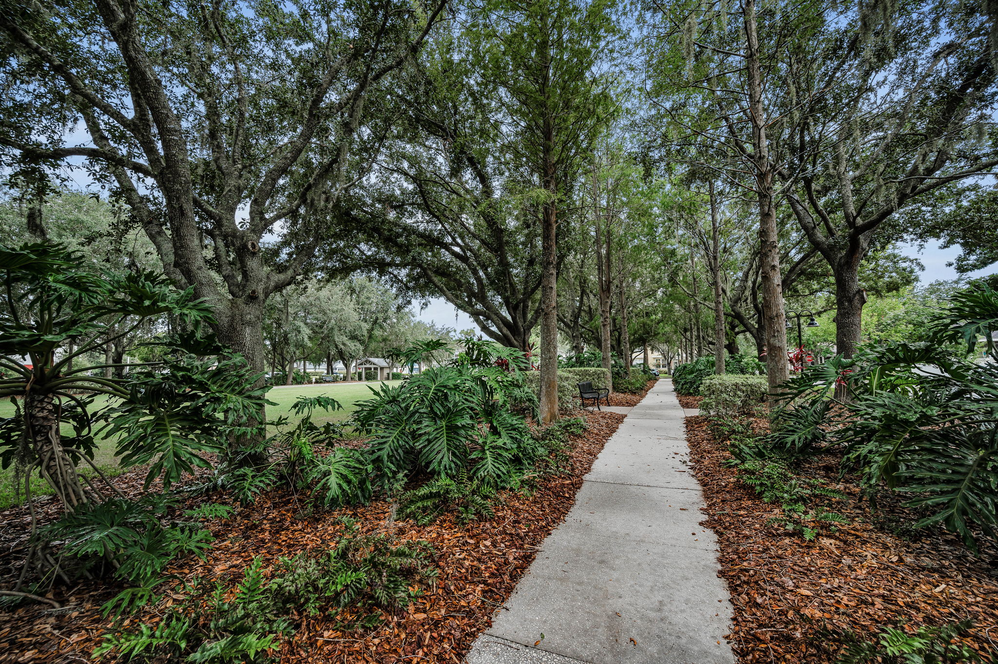 Pioneer Park7
