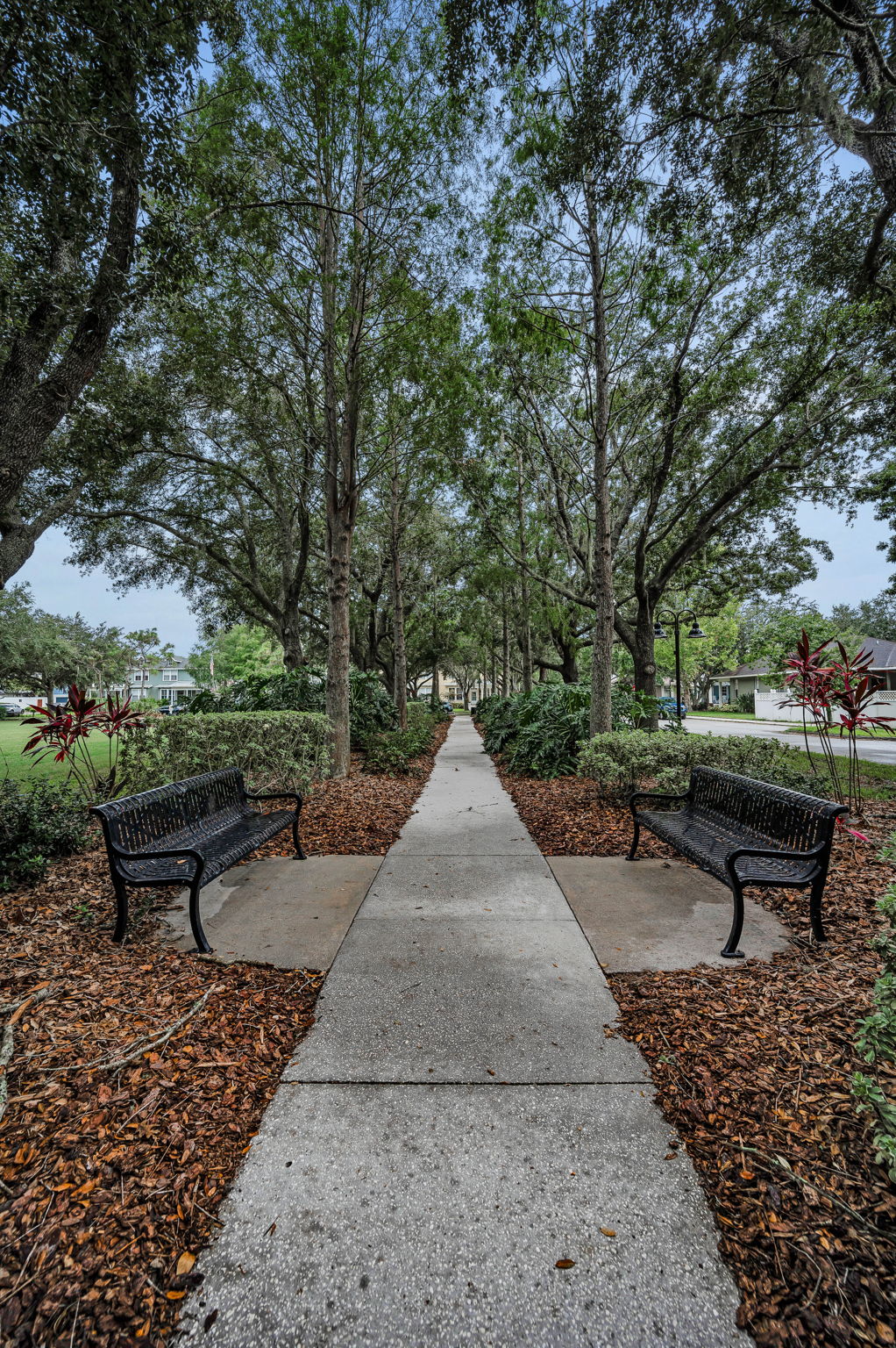 Pioneer Park8