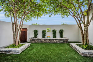 Backyard2