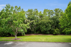 Yard2 View