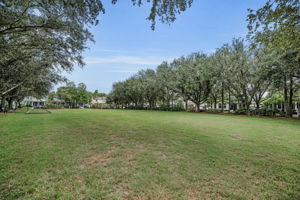 Pioneer Park5
