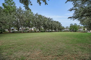 Pioneer Park6