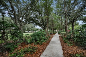 Pioneer Park7