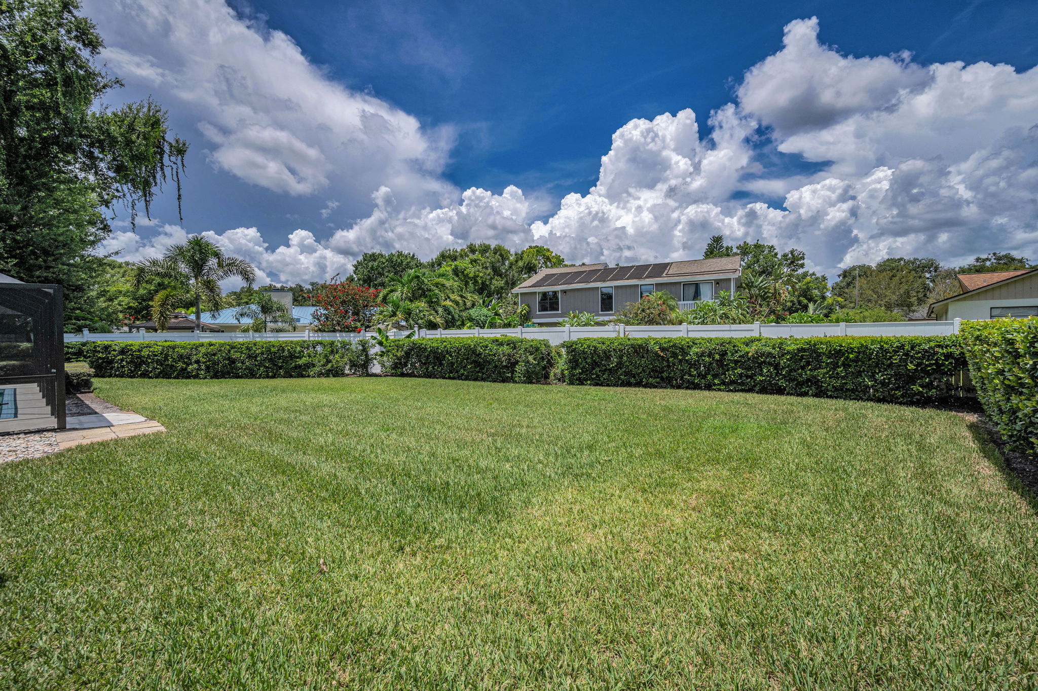 Backyard2