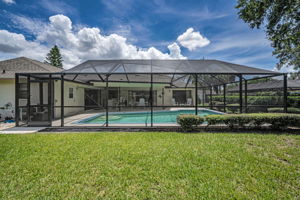 Backyard5