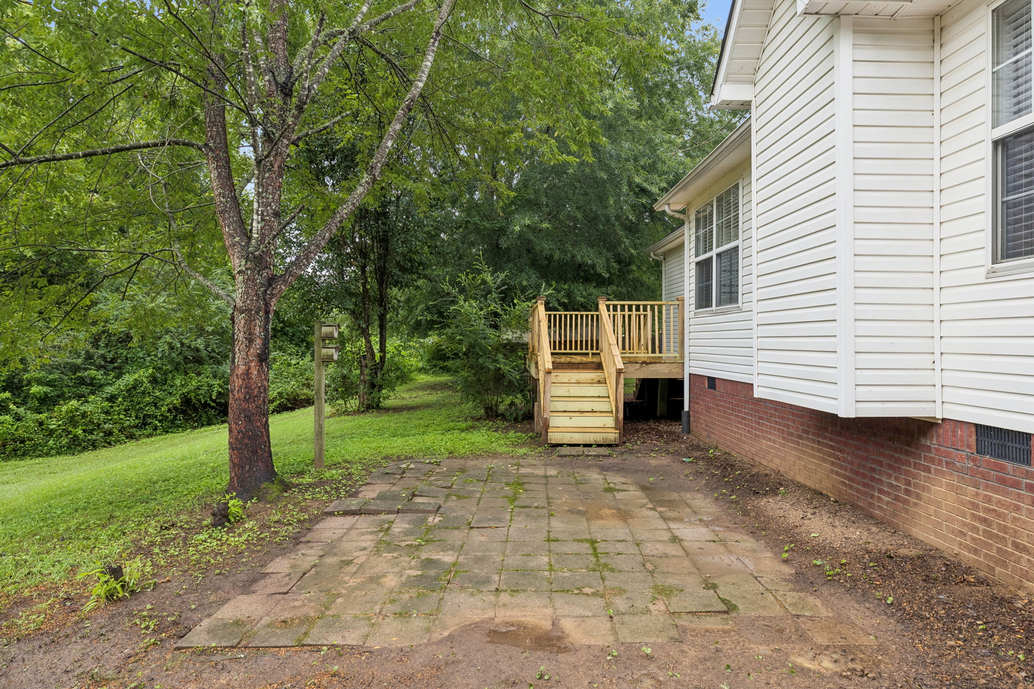  Photo 47