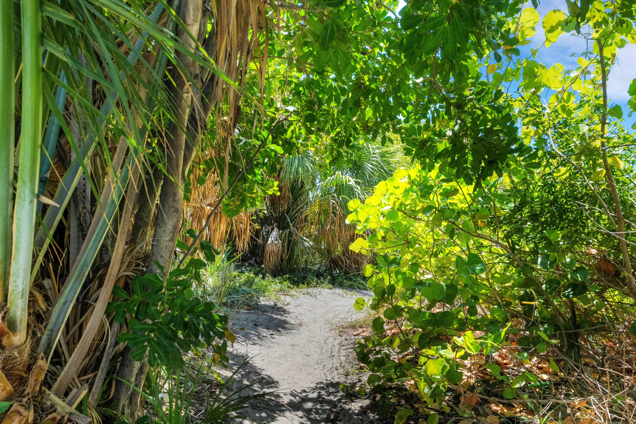 Private Beach Entry for Neighborhood Home Owners