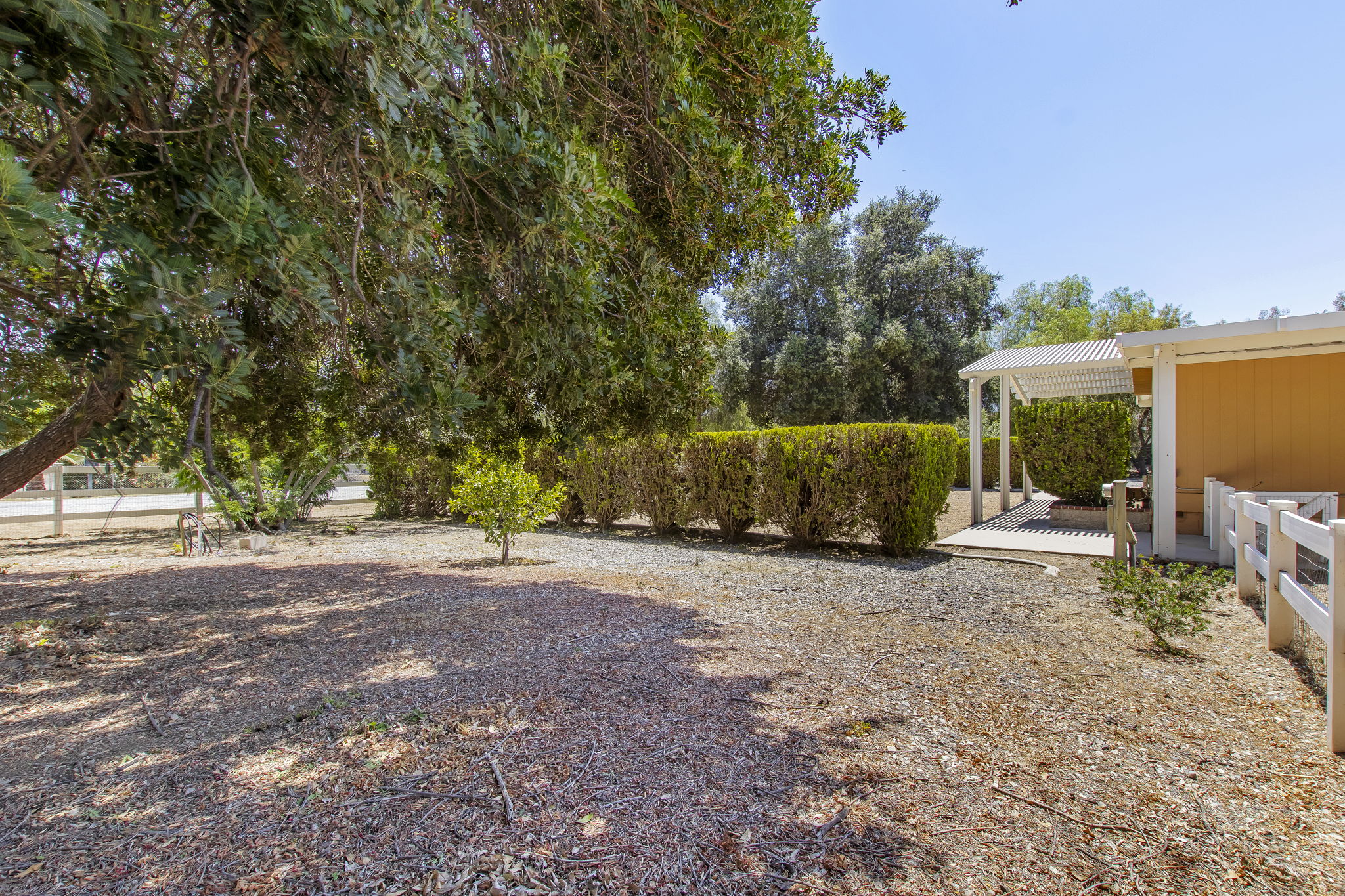 Saddlebrook 040