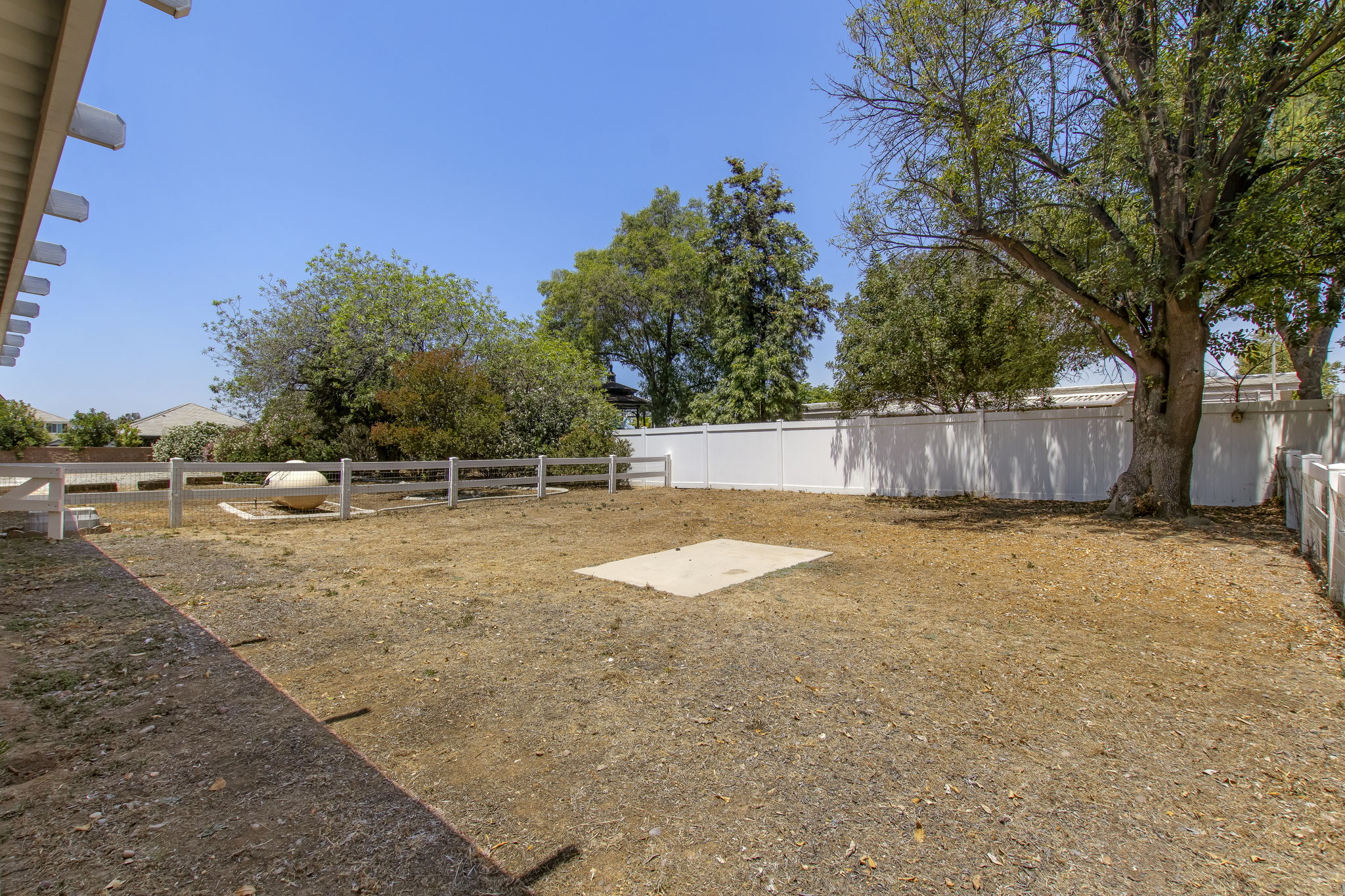 Saddlebrook 042