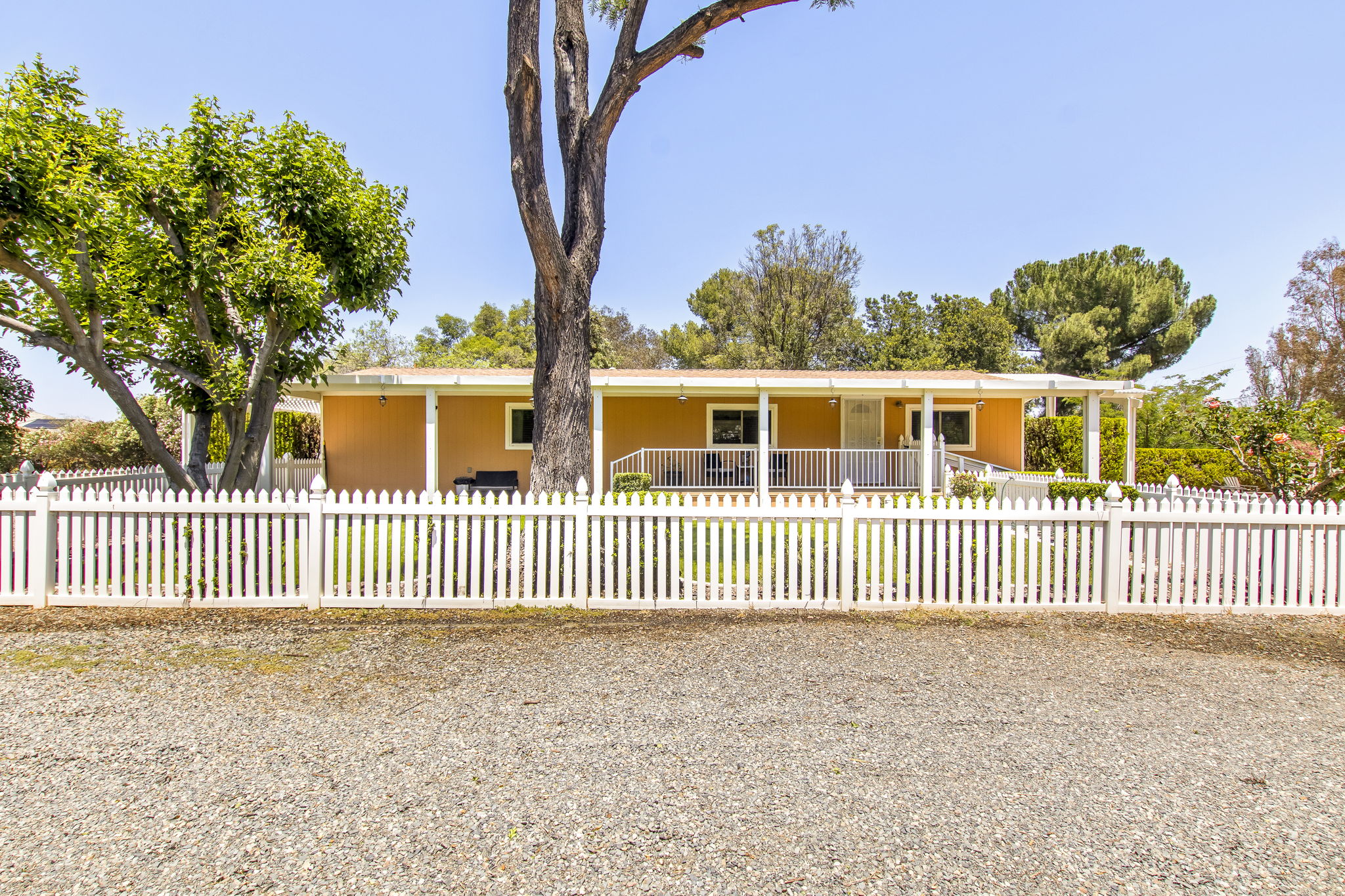 Saddlebrook 060