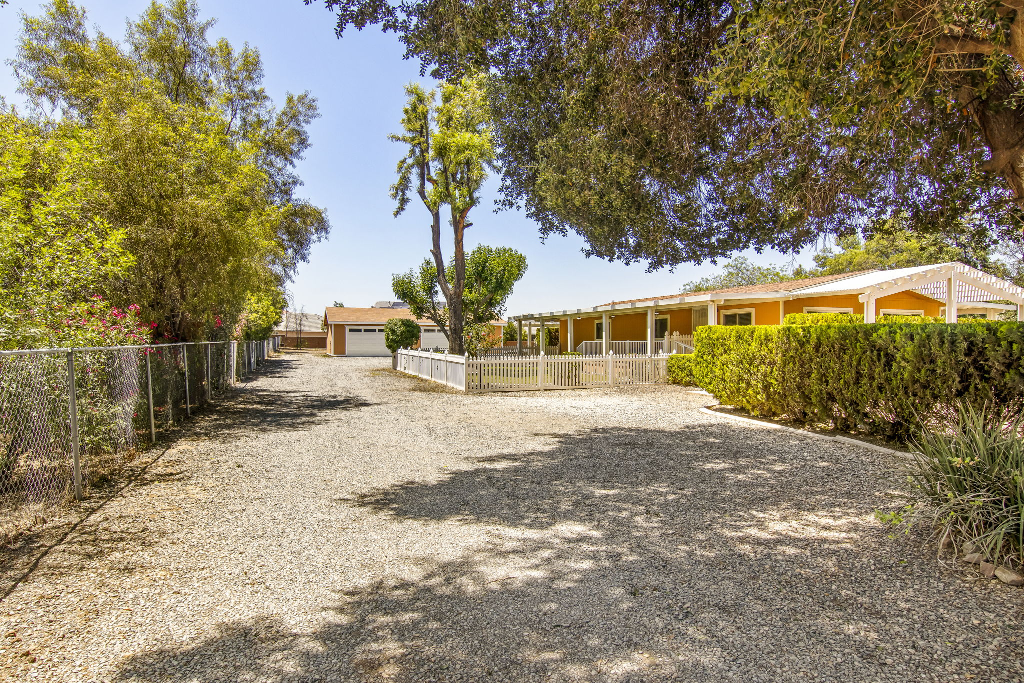Saddlebrook 062
