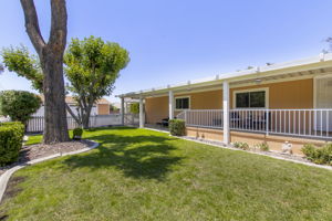 Saddlebrook 002