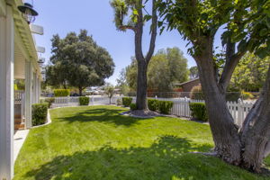 Saddlebrook 008