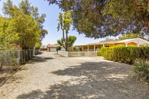 Saddlebrook 062