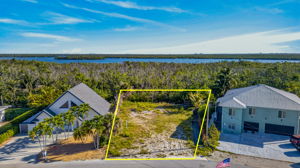 Aerial 2 -Lot Lines