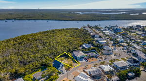 Aerial 10 -Lot Lines