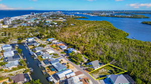 Aerial 15 -Lot Lines