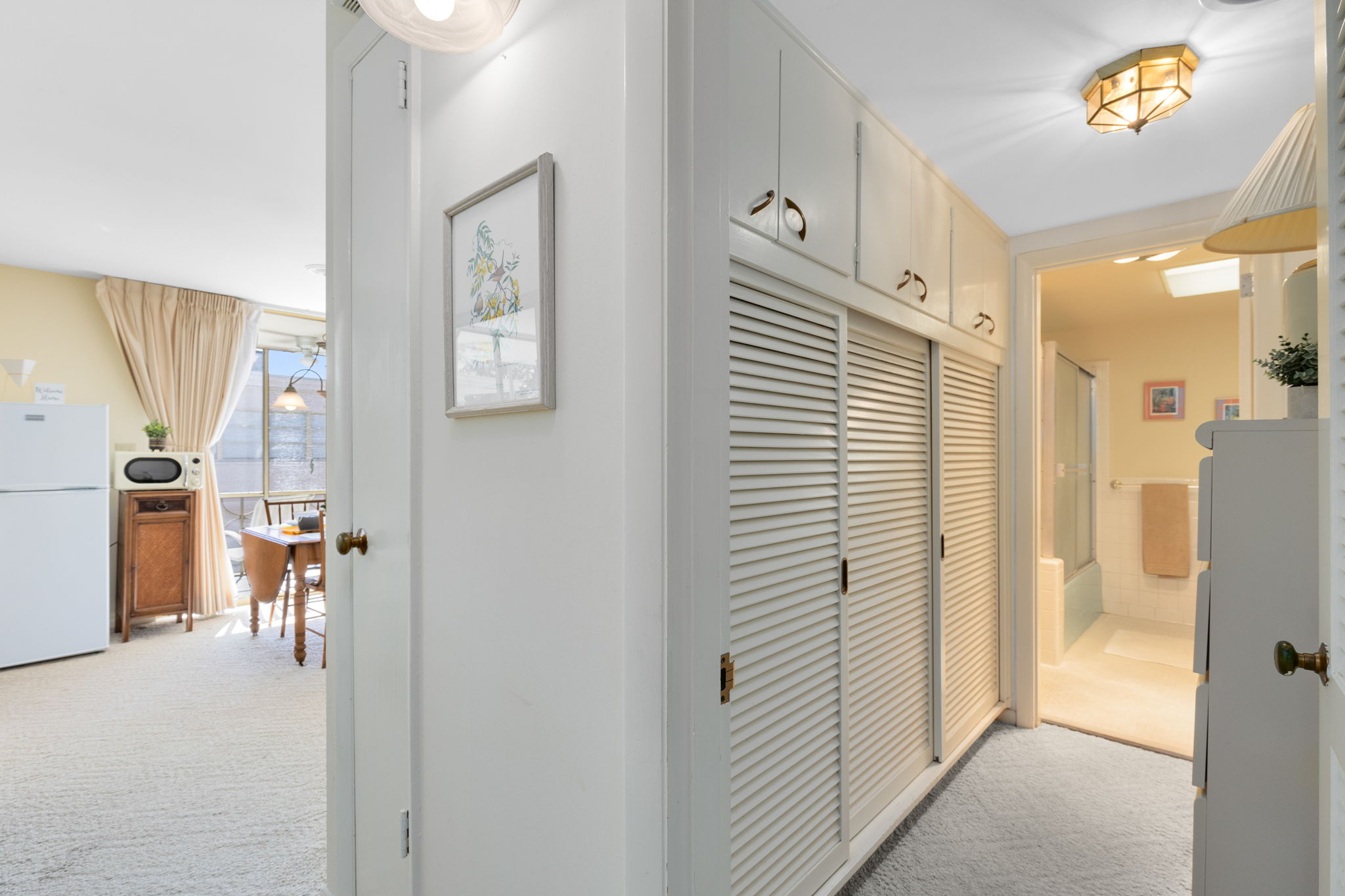 View from Entrance/Hallway