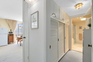 View from Entrance/Hallway