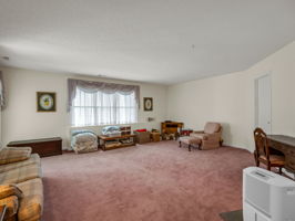 Family Room lower level