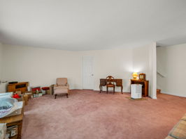 Family room lower level with stairs