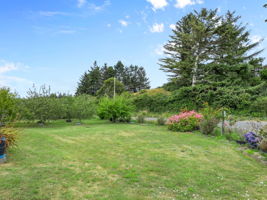  Photo 46
