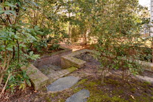 Stairs to Lower Yard