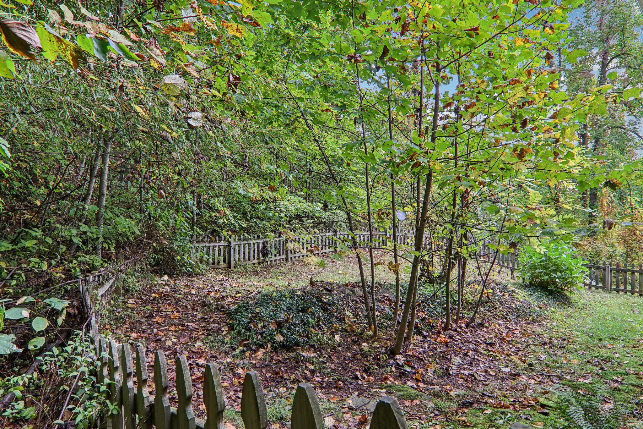 Jacks Knob Rd-S0910-053.jpg