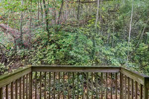 Jacks Knob Rd-S0910-047.jpg