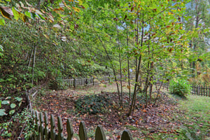 Jacks Knob Rd-S0910-053.jpg