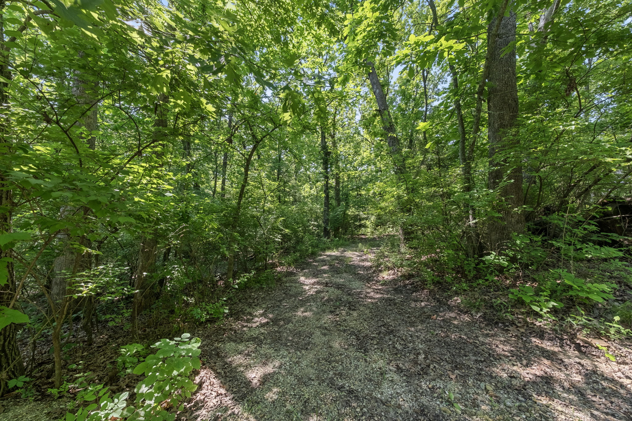 A nature-lover's paradise.