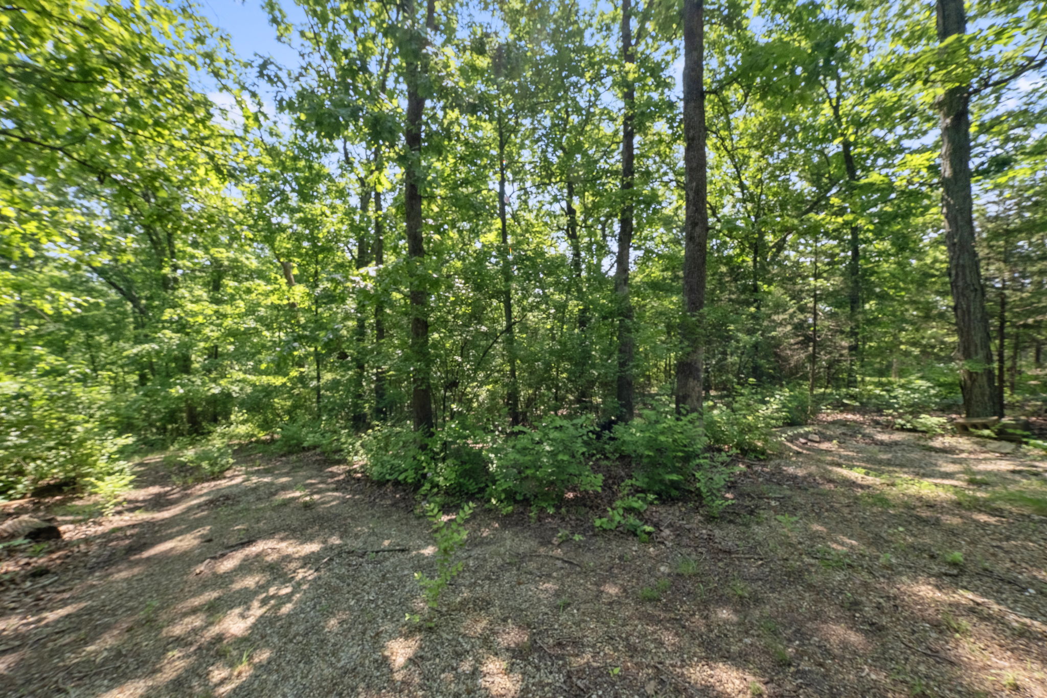 If seeking a wooded oasis, this is IT!