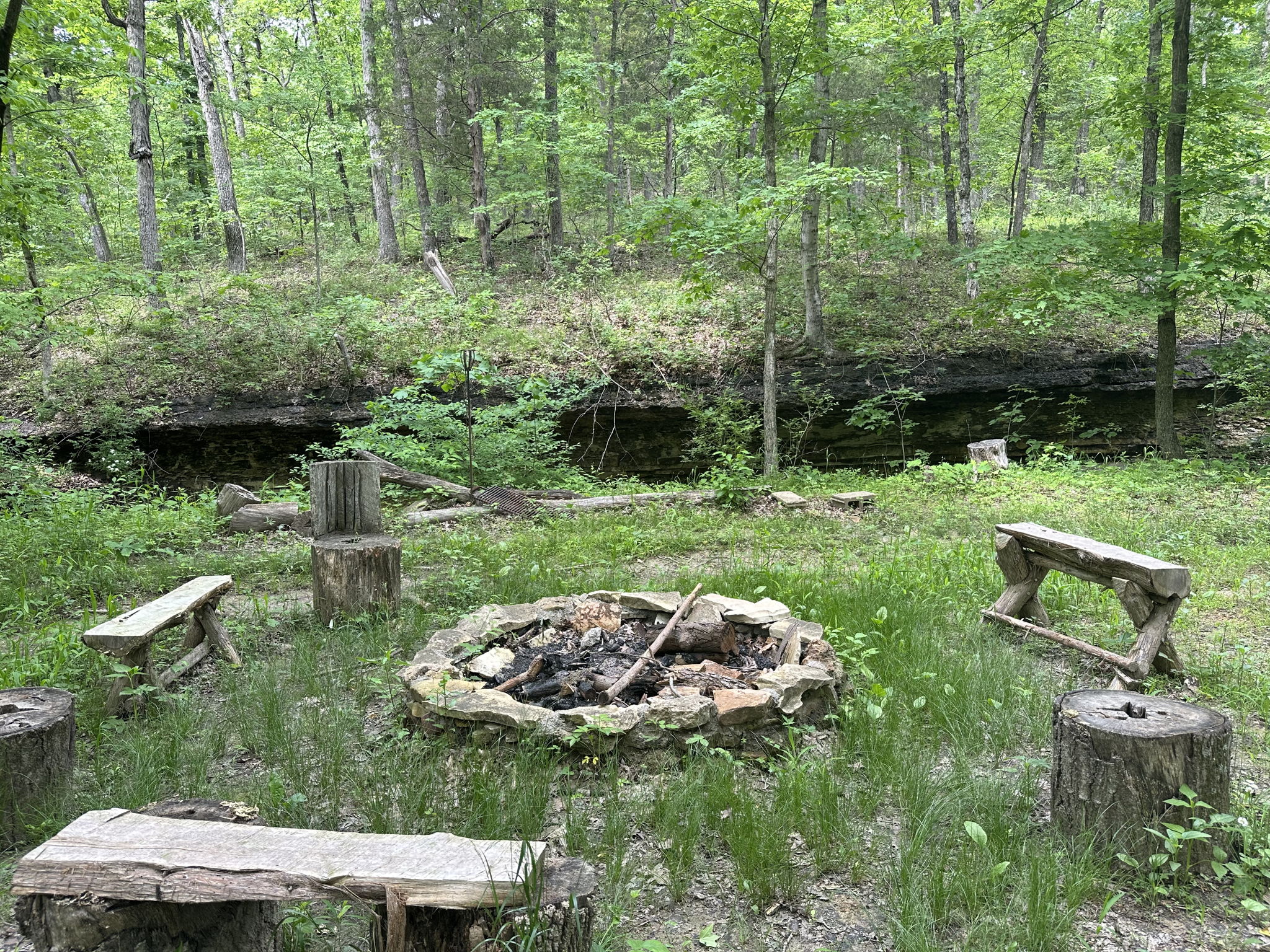 There are so many goodies tucked in those woods.  You never know what you will stumble upon!